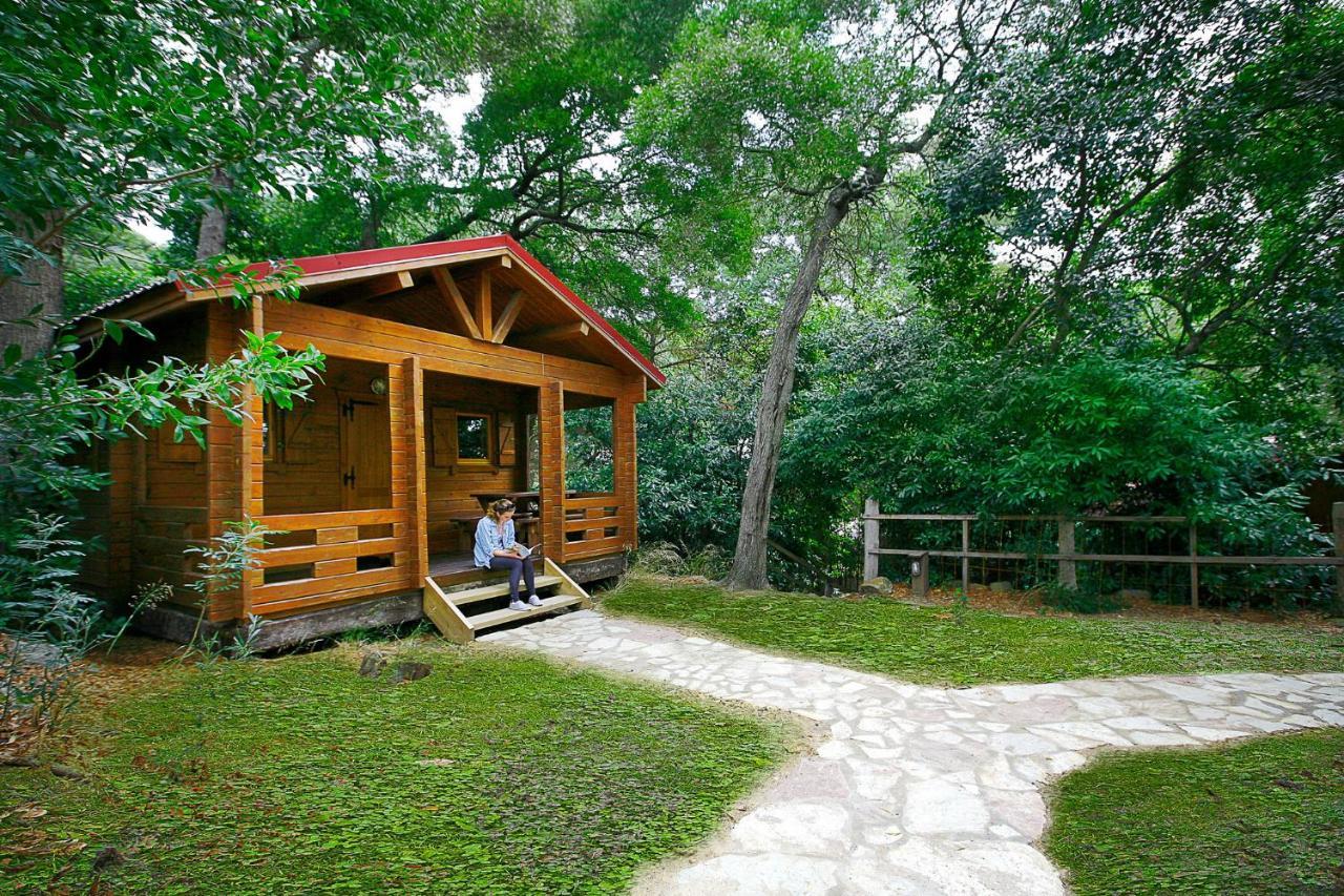 Complejo Rural Huerta Grande Guest House Algeciras Ngoại thất bức ảnh