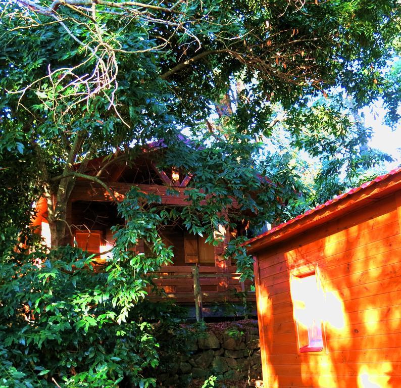 Complejo Rural Huerta Grande Guest House Algeciras Ngoại thất bức ảnh
