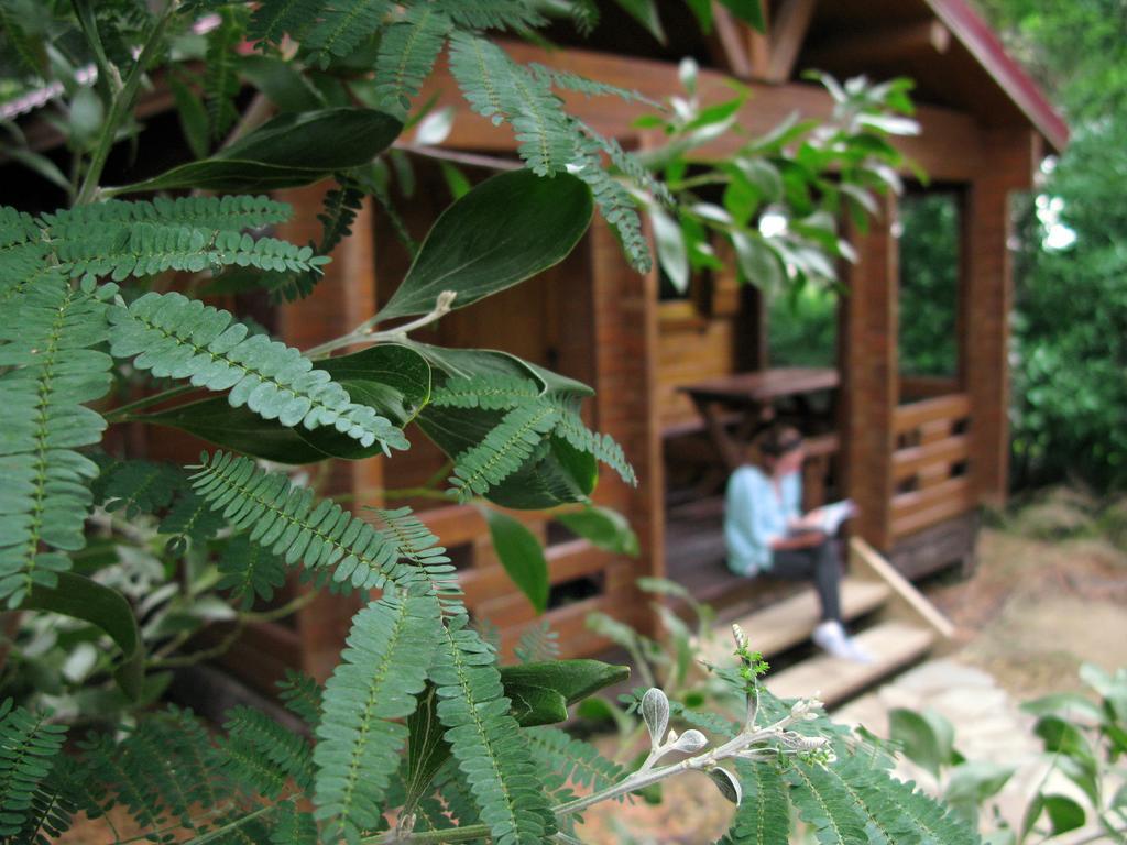 Complejo Rural Huerta Grande Guest House Algeciras Phòng bức ảnh